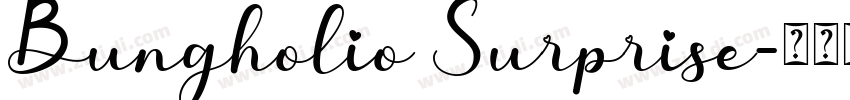 Bungholio Surprise字体转换